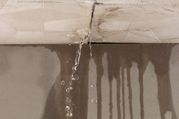 Professional Water Damage Inspection technician working in Tahuya, WA